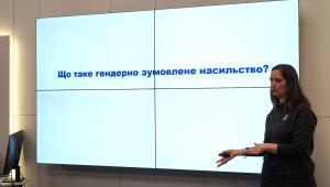Право на захист: представництво потерпілих від гендерно зумовленого насильства: у ННІПП відбувся тренінг…