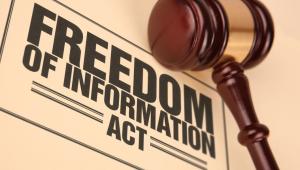 День свободи інформації (Freedom of Information Day)